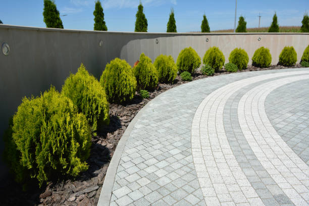Best Driveway Paver Repair  in Memphis, MO